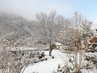 #가리왕산의 겨울 풍경